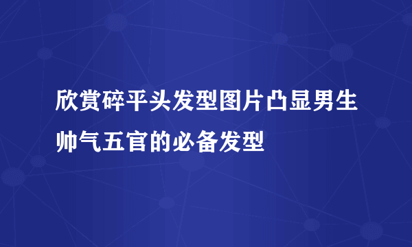 欣赏碎平头发型图片凸显男生帅气五官的必备发型