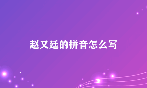 赵又廷的拼音怎么写