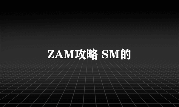 ZAM攻略 SM的