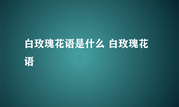 白玫瑰花语是什么 白玫瑰花语