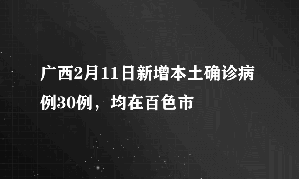 广西2月11日新增本土确诊病例30例，均在百色市