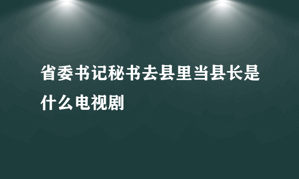 省委书记秘书去县里当县长是什么电视剧