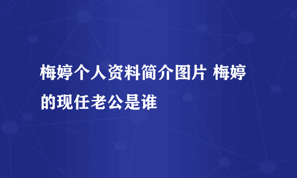 梅婷个人资料简介图片 梅婷的现任老公是谁