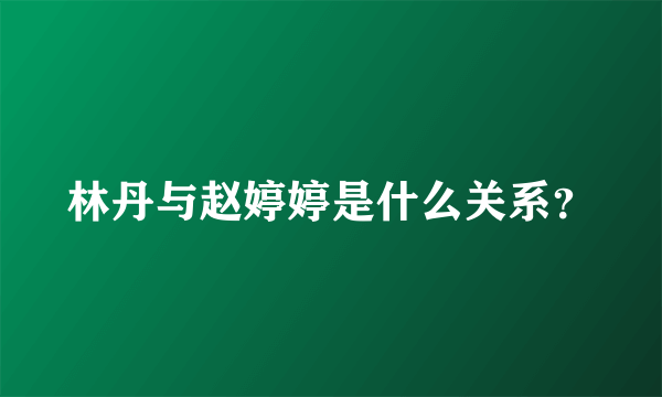 林丹与赵婷婷是什么关系？