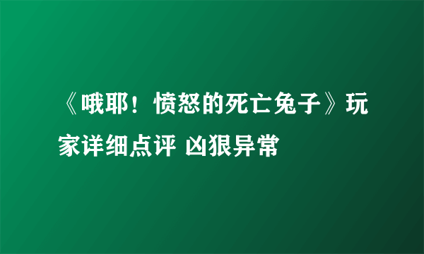 《哦耶！愤怒的死亡兔子》玩家详细点评 凶狠异常