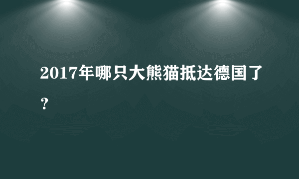 2017年哪只大熊猫抵达德国了？