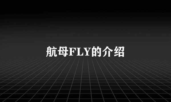 航母FLY的介绍