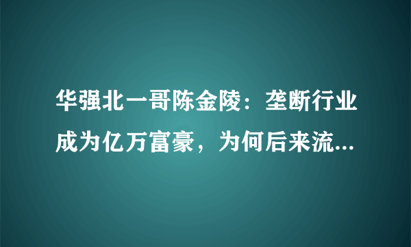 华强北一哥陈金陵：垄断行业成为亿万富豪，为何后来流落街头？