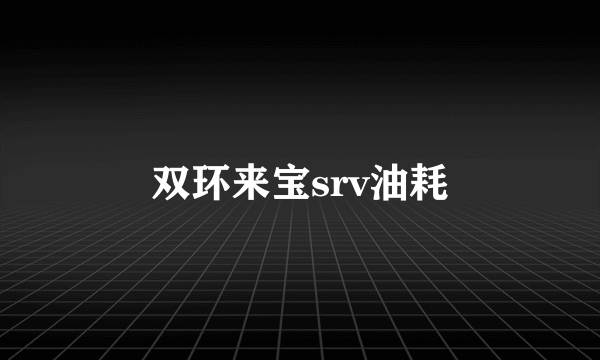 双环来宝srv油耗