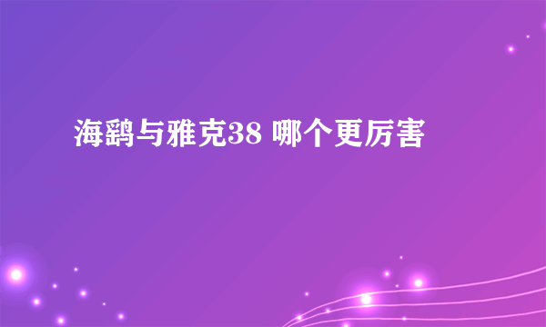 海鹞与雅克38 哪个更厉害