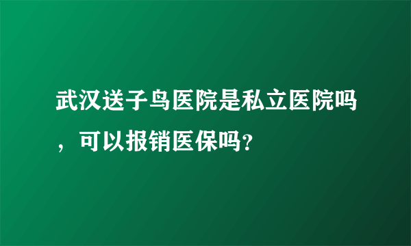 武汉送子鸟医院是私立医院吗，可以报销医保吗？