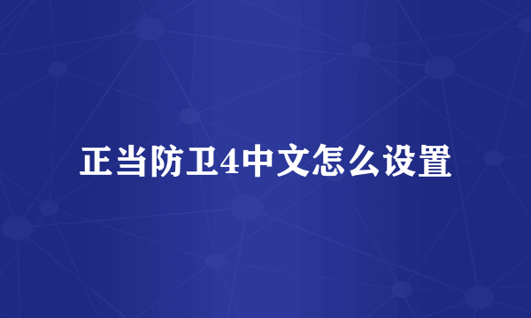 正当防卫4中文怎么设置