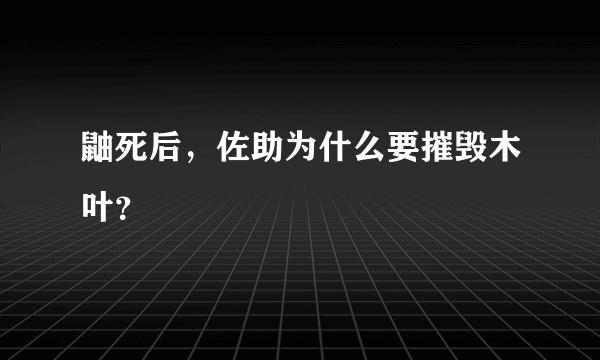 鼬死后，佐助为什么要摧毁木叶？