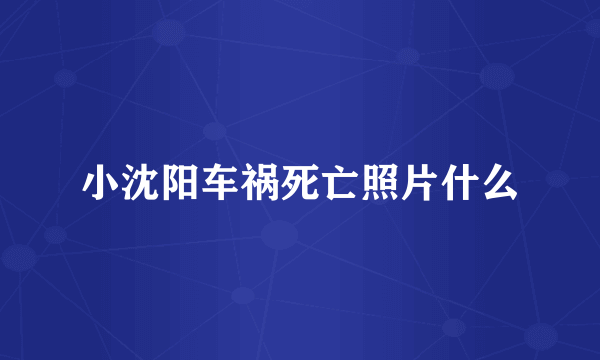 小沈阳车祸死亡照片什么