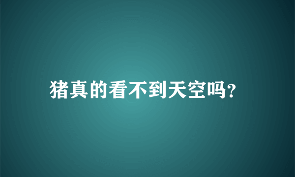 猪真的看不到天空吗？