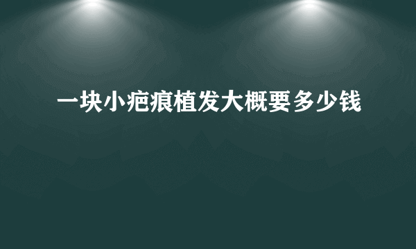 一块小疤痕植发大概要多少钱