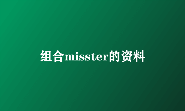 组合misster的资料