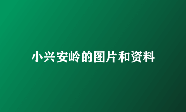 小兴安岭的图片和资料