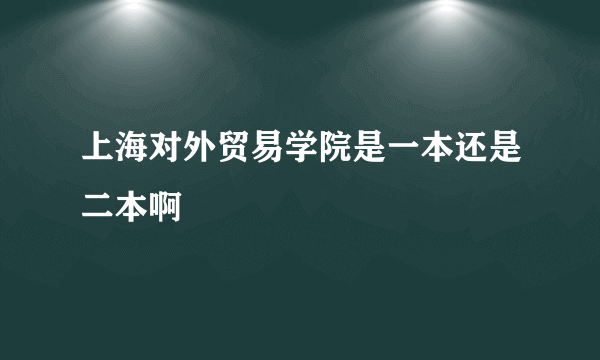 上海对外贸易学院是一本还是二本啊