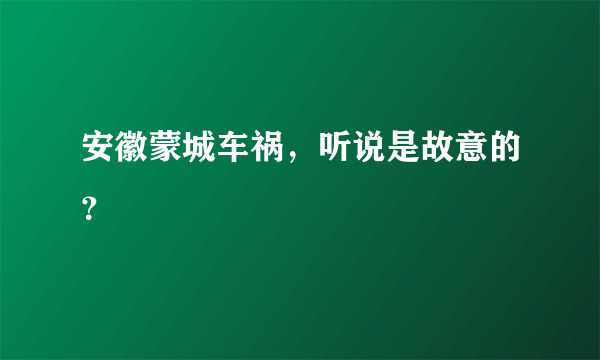 安徽蒙城车祸，听说是故意的？