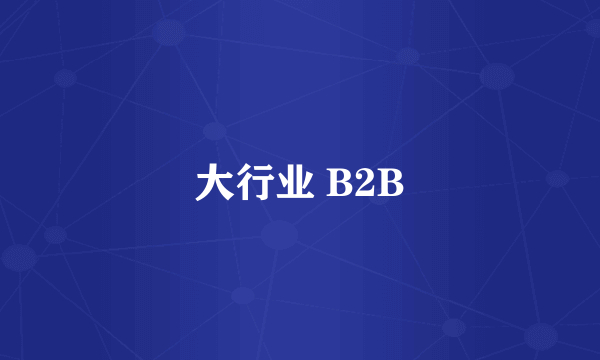 大行业 B2B