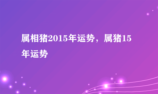 属相猪2015年运势，属猪15年运势