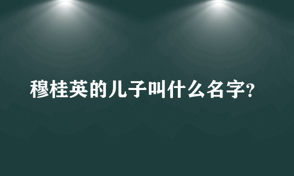 穆桂英的儿子叫什么名字？