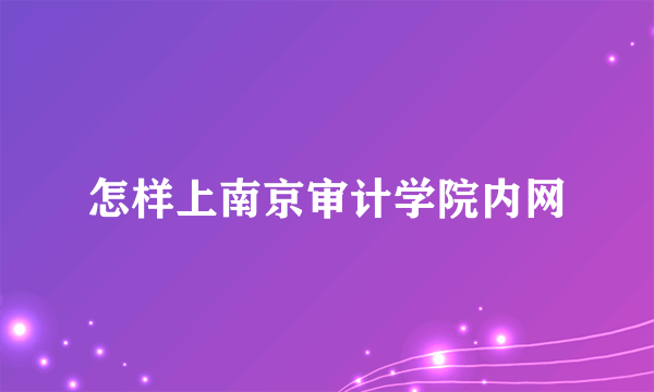 怎样上南京审计学院内网