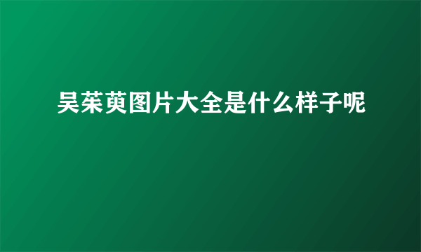 吴茱萸图片大全是什么样子呢