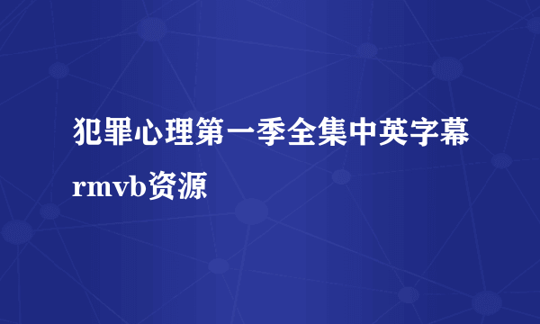 犯罪心理第一季全集中英字幕rmvb资源