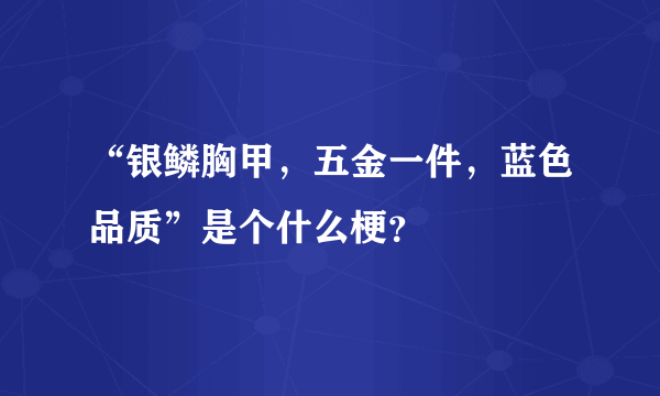 “银鳞胸甲，五金一件，蓝色品质”是个什么梗？