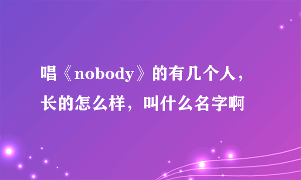 唱《nobody》的有几个人，长的怎么样，叫什么名字啊