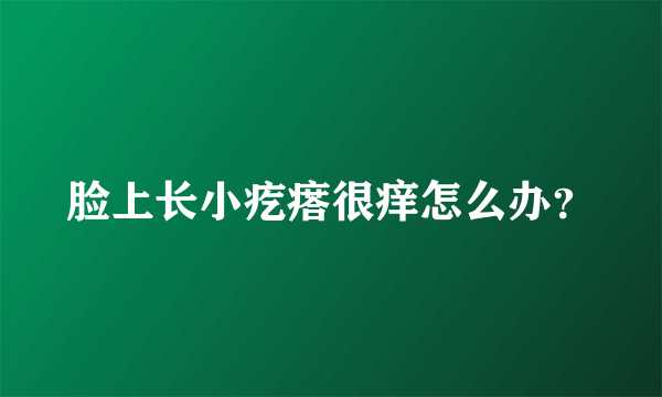 脸上长小疙瘩很痒怎么办？