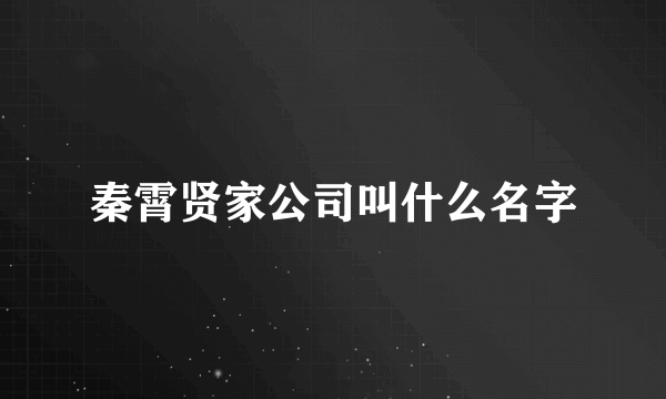 秦霄贤家公司叫什么名字