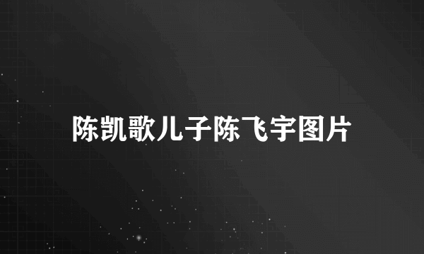 陈凯歌儿子陈飞宇图片