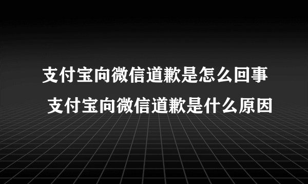 支付宝向微信道歉是怎么回事 支付宝向微信道歉是什么原因