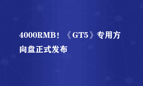 4000RMB！《GT5》专用方向盘正式发布