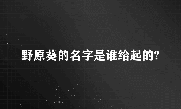 野原葵的名字是谁给起的?