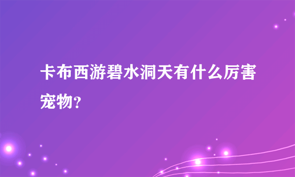 卡布西游碧水洞天有什么厉害宠物？