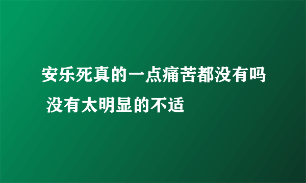 安乐死真的一点痛苦都没有吗 没有太明显的不适