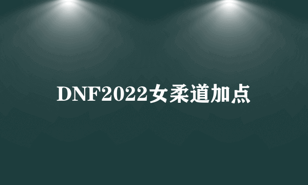 DNF2022女柔道加点