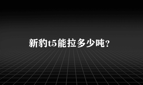 新豹t5能拉多少吨？