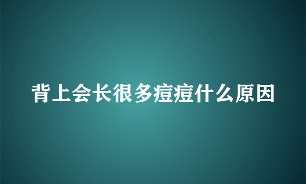 背上会长很多痘痘什么原因