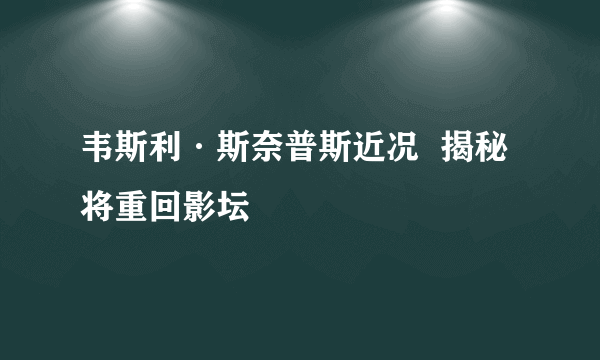 韦斯利·斯奈普斯近况  揭秘将重回影坛