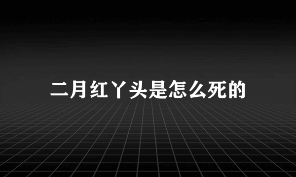 二月红丫头是怎么死的