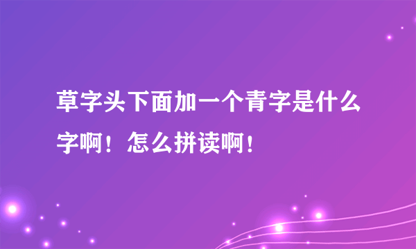 草字头下面加一个青字是什么字啊！怎么拼读啊！