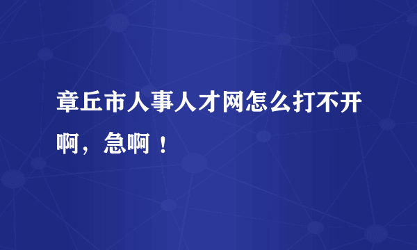 章丘市人事人才网怎么打不开啊，急啊 ！