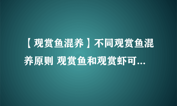 【观赏鱼混养】不同观赏鱼混养原则 观赏鱼和观赏虾可以混养吗