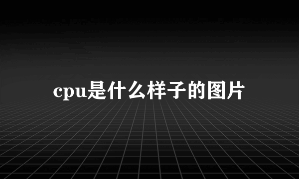 cpu是什么样子的图片