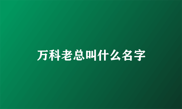 万科老总叫什么名字